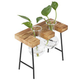 Desktop Glass Planter Wooden Stand Bulb Glass Vase Hydroponics Plant Planter for Home Office Garden2 Bottle