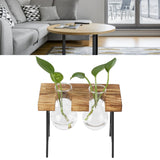 Desktop Glass Planter Wooden Stand Bulb Glass Vase Hydroponics Plant Planter for Home Office Garden2 Bottle