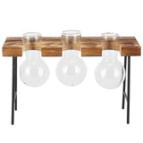 Desktop Glass Planter Wooden Stand Bulb Glass Vase Hydroponics Plant Planter for Home Office Garden3 Bottle In Australia - Darrahopens
