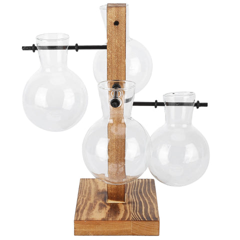 Innovative Hydroponic Vase with Wooden Stand Transparent Desktop Flower Vase for Home In Australia - Darrahopens