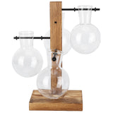 Innovative Hydroponic Vase with Wooden Stand Transparent Desktop Flower Vase for Home In Australia - Darrahopens