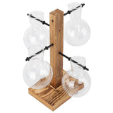 Innovative Hydroponic Vase with Wooden Stand Transparent Desktop Flower Vase for Home In Australia - Darrahopens