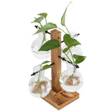 Innovative Hydroponic Vase with Wooden Stand Transparent Desktop Flower Vase for Home In Australia - Darrahopens
