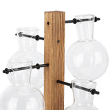 Innovative Hydroponic Vase with Wooden Stand Transparent Desktop Flower Vase for Home