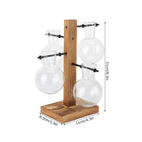 Innovative Hydroponic Vase with Wooden Stand Transparent Desktop Flower Vase for Home