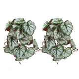 2PCS Artificial Water Plant Simulation Vine Lifelike Plastic Leaves Decoration with Suction Cup for Fish TankHeuchera Leaves In Australia - Darrahopens
