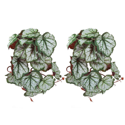 2PCS Artificial Water Plant Simulation Vine Lifelike Plastic Leaves Decoration with Suction Cup for Fish TankHeuchera Leaves In Australia - Darrahopens