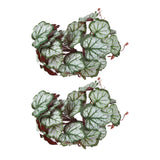 2PCS Artificial Water Plant Simulation Vine Lifelike Plastic Leaves Decoration with Suction Cup for Fish TankHeuchera Leaves