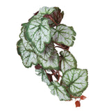 2PCS Artificial Water Plant Simulation Vine Lifelike Plastic Leaves Decoration with Suction Cup for Fish TankHeuchera Leaves