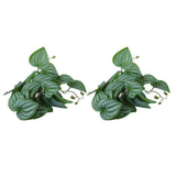 2PCS Artificial Water Plant Simulation Vine Lifelike Plastic Leaves Decoration with Suction Cup for Fish TankWatermelon Leaves In Australia - Darrahopens