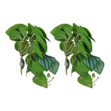 2PCS Artificial Water Plant Simulation Vine Lifelike Plastic Leaves Decoration with Suction Cup for Fish TankWatermelon Leaves In Australia - Darrahopens