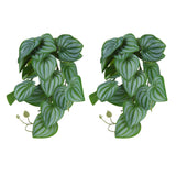 2PCS Artificial Water Plant Simulation Vine Lifelike Plastic Leaves Decoration with Suction Cup for Fish TankWatermelon Leaves In Australia - Darrahopens