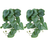 2PCS Artificial Water Plant Simulation Vine Lifelike Plastic Leaves Decoration with Suction Cup for Fish TankWatermelon Leaves In Australia - Darrahopens
