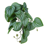 2PCS Artificial Water Plant Simulation Vine Lifelike Plastic Leaves Decoration with Suction Cup for Fish TankWatermelon Leaves