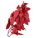 Artificial Reptile Plants Lifelike Plastic Plant Hanging Leaves Decoration with Suction Cup for Reptiles Terrarium Fish TankT-1033A4 In Australia - Darrahopens