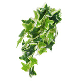 Artificial Reptile Plants Lifelike Plastic Plant Hanging Leaves Decoration with Suction Cup for Reptiles Terrarium Fish TankStar Leaf Vine