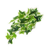 Artificial Reptile Plants Lifelike Plastic Plant Hanging Leaves Decoration with Suction Cup for Reptiles Terrarium Fish TankStar Leaf Vine