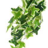 Artificial Reptile Plants Lifelike Plastic Plant Hanging Leaves Decoration with Suction Cup for Reptiles Terrarium Fish TankStar Leaf Vine