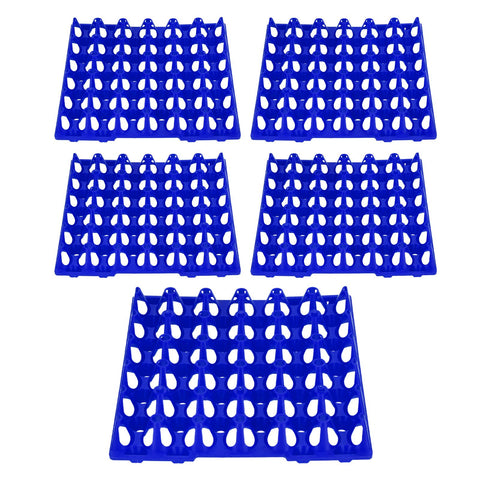 5PCS Plastic Egg Flats 30 Cell Egg Crates Holder Tray for Storage Transportation Home Farm SuppliesBlue In Australia - Darrahopens