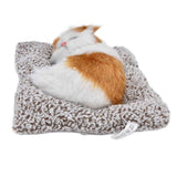Simulation Cat Soft Plush Kitten Children Gift Activated Carbon Car Table Ornament Decoration In Australia - Darrahopens