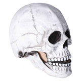 Halloween Skull Helmet Full Head Skull Mask Latex Cosplay Costume Horror Skull Mask for Festival PartyLight Grey In Australia - Darrahopens
