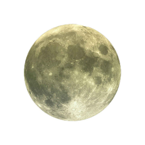 Moon Wall Sticker Glowing Luminous Wall Sticker PVC DIY Wall Paper for Bedroom Decoration22cm / 8.7in In Australia - Darrahopens