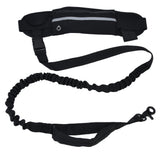Sports Belt Bag Leash Set Reflective Elastic Explosion Proof Dog Running Traction Rope for Walking RunningBlack