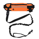 Hands Free Dog Leash Detachable Zipper Bag Reflective Strip Design Hands Free Flexible Waist Dog Leash for WalkingOrange In Australia - Darrahopens