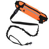 Hands Free Dog Leash Detachable Zipper Bag Reflective Strip Design Hands Free Flexible Waist Dog Leash for WalkingOrange In Australia - Darrahopens