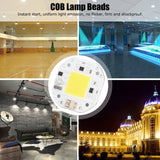 COB Lamp Bead High Power LED Chip High Brightness Drive Free for DIY Lamp Floodlight Indoor Lighting 220V50W Cold White 5800K-6500K