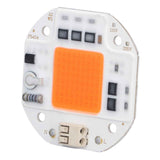 High Power LED Chip Plant Grow Light 380‑800NM COB Lamp Beads Drive Free for DIY Hydroponic Growing Light 220V100W In Australia - Darrahopens