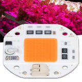 High Power LED Chip Plant Grow Light 380‑800NM COB Lamp Beads Drive Free for DIY Hydroponic Growing Light 220V100W