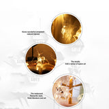 Christmas Indoor Reindeer Lights Decorations 10 LED Warm White String Lights USB Battery Powered Fairy Lighting Xmas Gifts