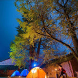2 Pack LED Light for Camping 5W USB Children Bed Lamp Portable LED Bulb Outdoor Emergency Light