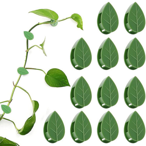 Pack of 50 Self Adhesive Plant Holders Plant Connector Clip Climbing Plants Fixing Wall Plant Clips for Supports Planting In Australia - Darrahopens