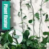 Pack of 50 Self Adhesive Plant Holders Plant Connector Clip Climbing Plants Fixing Wall Plant Clips for Supports Planting
