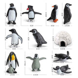 11PCS PVC Penguin Figurines Cute Simulation Ocean Animal Penguin Figure Model Toys Children s Cognitive Animal Ornaments In Australia - Darrahopens