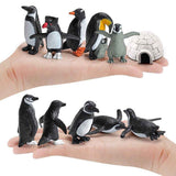 11PCS PVC Penguin Figurines Cute Simulation Ocean Animal Penguin Figure Model Toys Children s Cognitive Animal Ornaments In Australia - Darrahopens