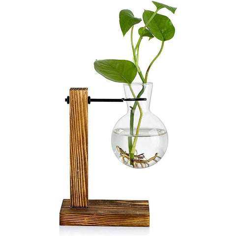 Transparent Vase Desktop Wooden Stand Glass Clear Plant Vase for Home Table Desk Interior Decoration In Australia - Darrahopens