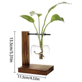 Transparent Vase Desktop Wooden Stand Glass Clear Plant Vase for Home Table Desk Interior Decoration In Australia - Darrahopens