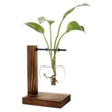 Transparent Vase Desktop Wooden Stand Glass Clear Plant Vase for Home Table Desk Interior Decoration In Australia - Darrahopens