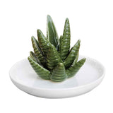 Ceramic Ring Holder Aloe Ring Dish Jewelry Holder Rings Bracelets Earrings Green Succulent Trinket Tray Gift for Women Girls In Australia - Darrahopens