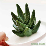 Ceramic Ring Holder Aloe Ring Dish Jewelry Holder Rings Bracelets Earrings Green Succulent Trinket Tray Gift for Women Girls In Australia - Darrahopens