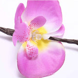 LED Simulation Phalaenopsis Tree Branch Light Home Interior Scenery Christmas Festival Decorative Light Branch Light String In Australia - Darrahopens