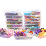 Dried Flower DIY Accessories Set In Australia - Darrahopens