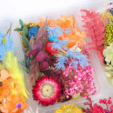 Dried Flower DIY Accessories Set In Australia - Darrahopens