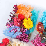 Dried Flower DIY Accessories Set In Australia - Darrahopens