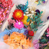 Dried Flower DIY Accessories Set In Australia - Darrahopens