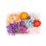 Dried Flower DIY Accessories Set In Australia - Darrahopens