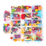 Dried Flower DIY Accessories Set